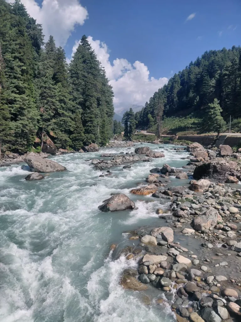 Pahalgam Walk