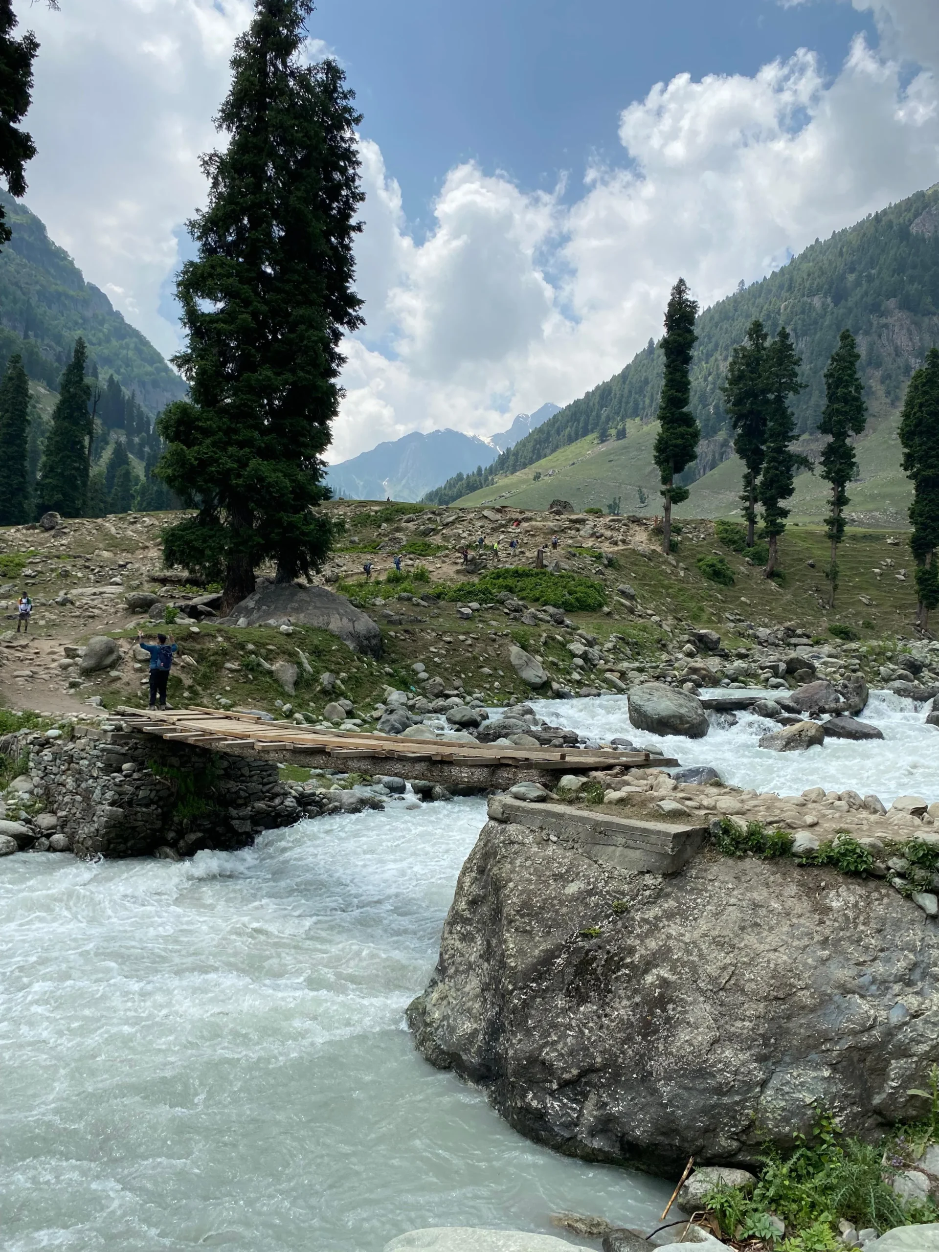 Pahalgam Walk