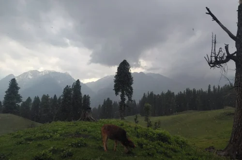 Pahalgam
