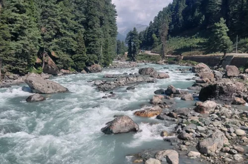 Pahalgam Walk