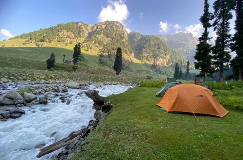 Pahalgam Walk