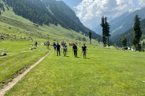 Pahalgam Walk